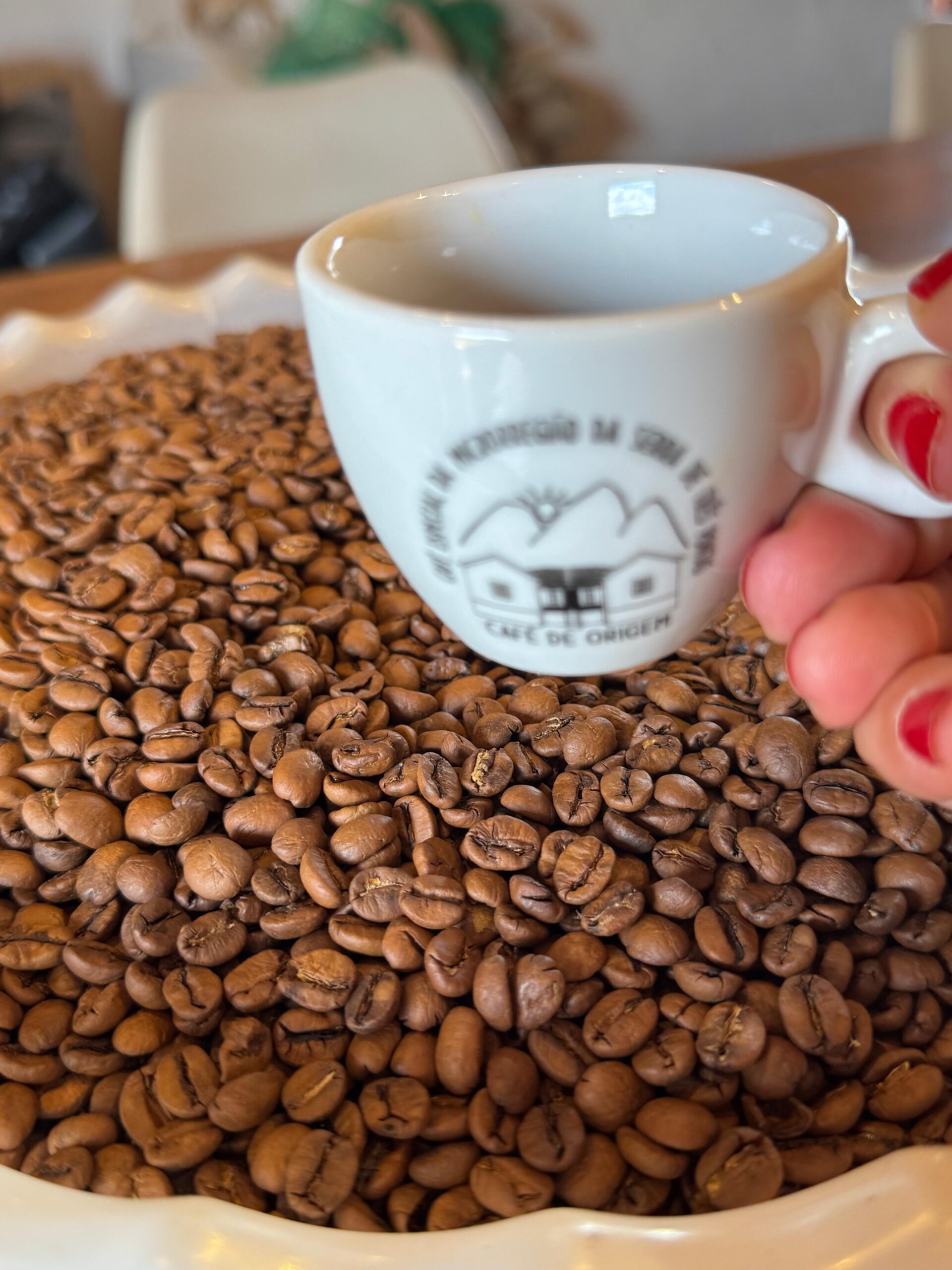 Imagem do WhatsApp de 2025-11-29 à(s) 05.59.03_d35c6468