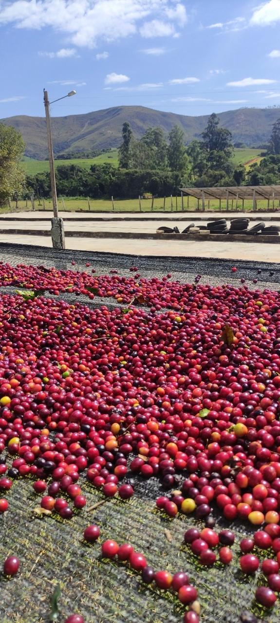 Imagem do WhatsApp de 2025-11-29 à(s) 06.01.18_1d21af3b